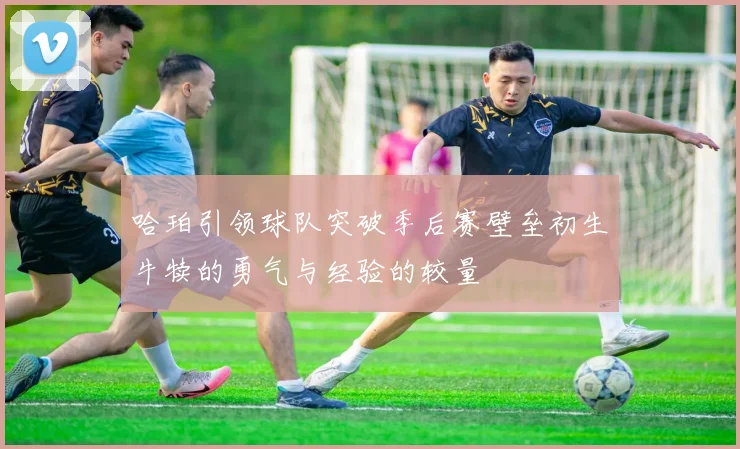 哈珀引领球队突破季后赛壁垒初生牛犊的勇气与经验的较量