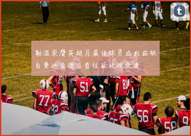 勒温荣膺英超月最佳球员成利兹联自费迪南德后首位获此殊荣者
