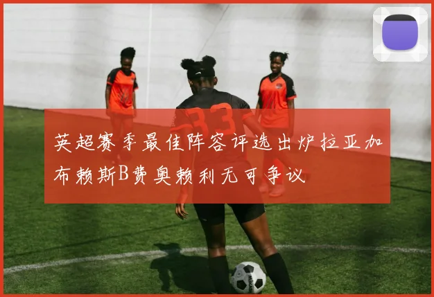 英超赛季最佳阵容评选出炉拉亚加布赖斯B费奥赖利无可争议